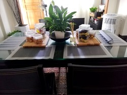 Blk 873 Tampines Street 84 (Tampines), HDB 5 Rooms #228090161